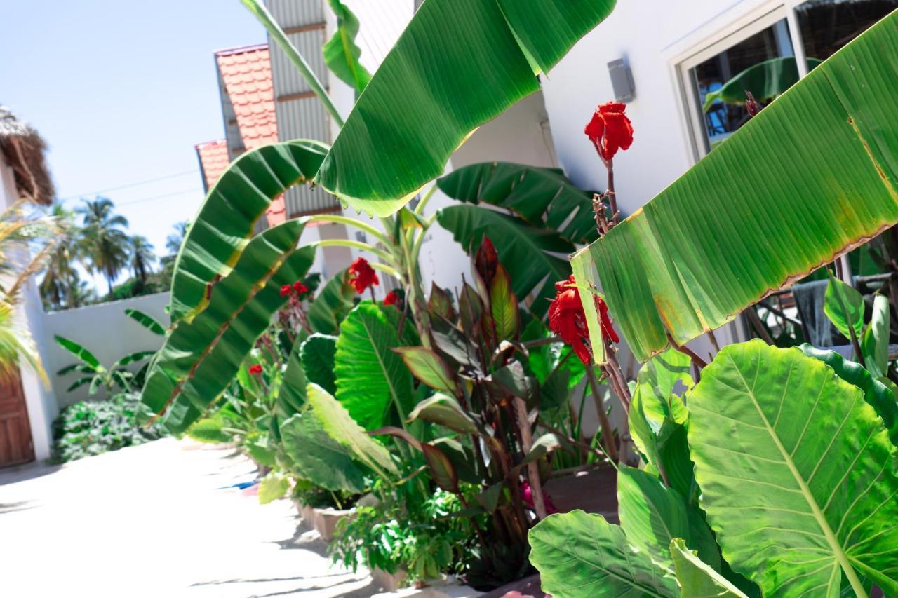 Heart Of Zanzibar Bungalows باجي المظهر الخارجي الصورة