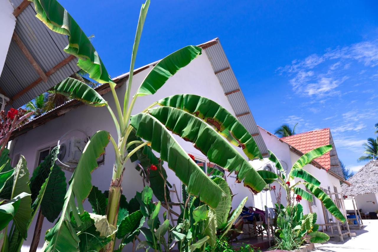 Heart Of Zanzibar Bungalows باجي المظهر الخارجي الصورة